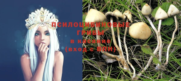 дурь Михайлов