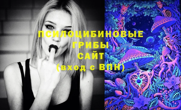 spice Михайловка