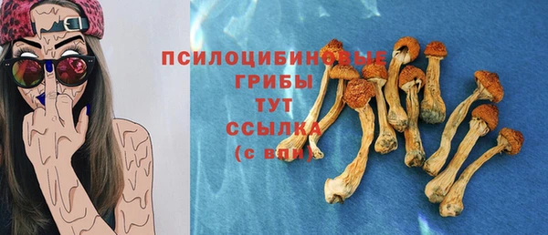 spice Михайловка