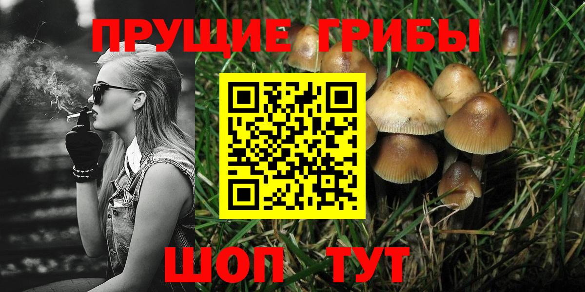 Галлюциногенные грибы мухоморы  Вход с VPN  Реутов 
