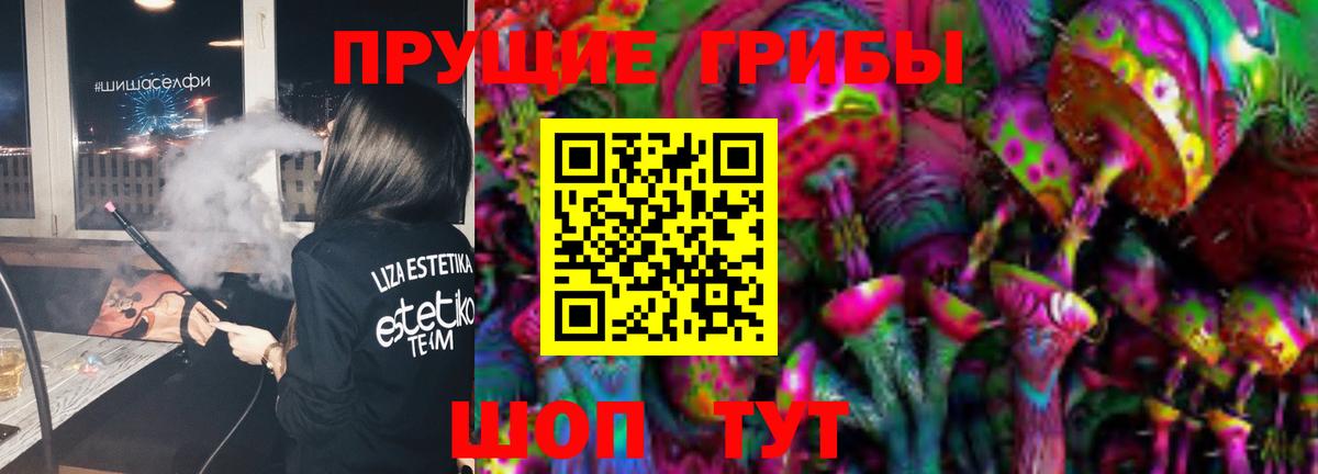 Галлюциногенные грибы Psilocybine cubensis Реутов