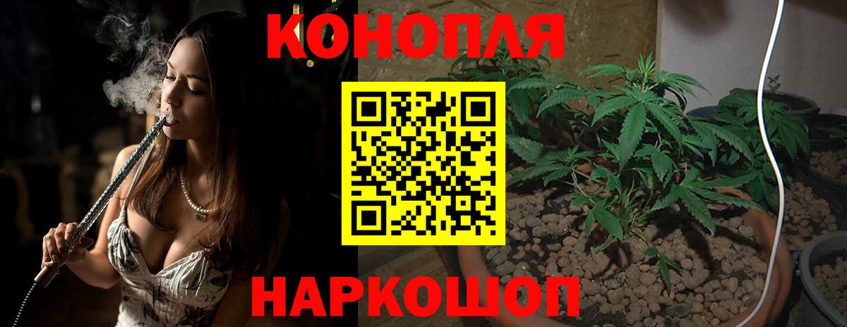 Шишки марихуана Amnesia Реутов